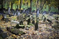 Il Cimitero Ebraico di Varsavia: le antiche lapide e le tombe disposte in modo un pò disordinato, lo rendono uno dei cimiteri più interessanti di tutta la Polonia - © Fotokon ...