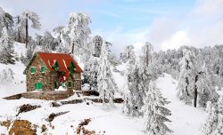 I monti Troodos di Cipro, durante l'inverno, si ricoprono di un candido manto di neve che sembra cancellare, ma solo per un po', i colori e i profumi mediterranei - © Palis Michalis / ...
