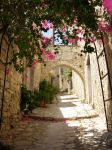 Le città di Cipro sono reticoli di viottoli pittoreschi, racchiusi da mura antiche, archi e piante rampicanti - © Alexey Rezaykin / Shutterstock.com
