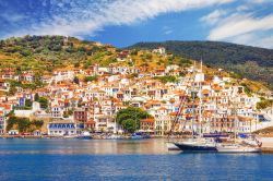 Città vecchia e porto di Skopelos alle Sporadi, in Grecia - © Mila Atkovska / Shutterstock.com