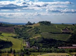 Colline intorno a Castelvetro Modena, durante la manifestazione Rassegna Gusto natura Cultura si possono compiere spledide escursione nella verde campagna modenese, nelle prime colline