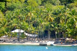 Cooper Island un’altra delle Isole Vergini Britanniche, si trova davanti a Tortola, tra Ginger Island e Salt Island. La baia sulla quale si affaccia, Manchioneel Bay è una delle ...