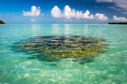 Intorno all'isola di Maupiti, nella Polinesia Francese, sotto il pelo dell'acqua si intravvedono i banchi corallini del reef. Lo scenario è ideale per lo snorkeling, ma l'acqua ...