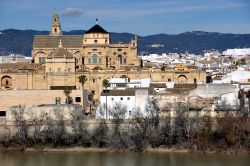 il centro della città di Cordova (Cordoba in spagnolo), con sullo sfondo la sua Cattedrale Patrimonio UNESCO, la celebre Mezquita, uno dei capolavori della Spagna, nel nord dell'Andalusia ...