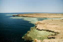 La costa di Ras Mohammed: qui si trovano alcuni dei siti d'immersione del Mar Rosso più importanti dell'Egitto - © kosmos111 / Shutterstock.com