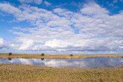 Costa del Mar Baltico nella zona di Graal Muritz in Germania, nella magica luce della tarda primavera - © bluecrayola / Shutterstock.com