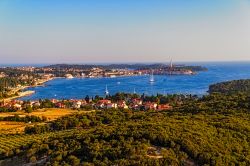 Costa e mare di Rovigno (Rovinj), la penisola che si tuffa nell'Adritico, lungo le coste nord-occidentali dell'Istria in Croazia - © OPIS Zagreb / Shutterstock.com