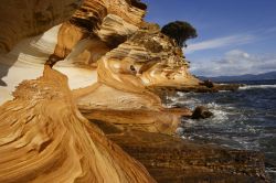 Costa spettacolare presso l'isola di Maria Island, posta ad est della Tasmania - © Sasapee / Shutterstock.com