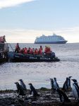 Crociera in Patagonia: escursione in gommone per vedere i pinguini -  Foto di Giulio Badini i Viaggi di Maurizio Levi 