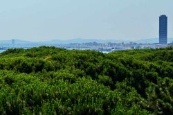 La visuale verso nord dalla terrazza panoramica dell'Hotel Antares di Pinarella sopra la pineta: Cesenatico e i lidi in direzione sud, fino all'Appennino riminese  - © Roberto ...
