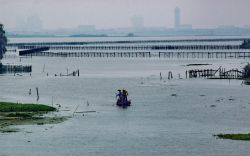 Il  delta dello Yangtze Vicino Tongli e Shanghai in Cina
