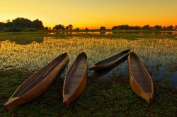 Delta fiume Okavango: quella al parco nazionale, ora Patrimonio UNESCO è una delle classiche escursione organizzate dalla capitale del Botswana - © Pal Teravagimov / Shutterstock.com ...