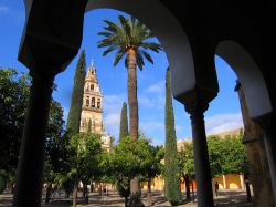Dentro il cortile della Mezquita di Cordova in Andalusia (Spagna): la coorte interna della Cattedrale di Cordoba prende il nome di Patio de los Naranjos - © @cam / Shutterstock.com ...