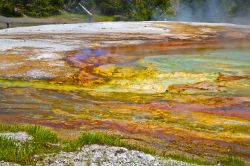 Depositi colorati di batteri nel Parco Nazionale di Yellowstone, l'aerea protetta più antica del mondo - ©Krzysztof Wiktor / Shutterstock.com