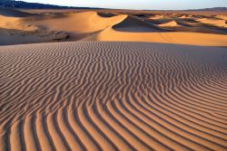 Deserto del Gobi, dune di sabbia in Mongolia. Questa vasta regione desertica e semi-desertica dell'Asia centrale si estende attraverso gran parte di Mongolia e Cina - © Lukasz Kurbiel ...