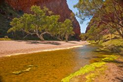 Simpson's Gap vicino ad Alice Springs - Siamo nel cosiddetto cuore rosso dell'Australia, il Red Centre che qui regala forti emozioni per le montagne del Mac Donnell Ranges, e più ...