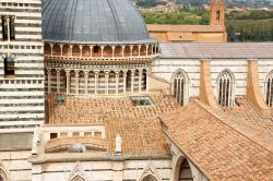 Un dettaglio della Cattedrale dell'Assunta a Siena (Toscana), capolavoro romanico-gotico realizzato a partire da metà del XII secolo. Nell'immagine la cupola coperta da lastre ...