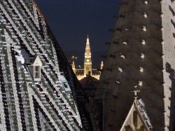 Dettaglio del tetto del Duomo di Vienna e Rathaus  sullo fondo