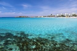 E fantastico fare snorkeling nela mare di Ayia Napa a Cipro  - © Pawel Kazmierczak / Shutterstock.com