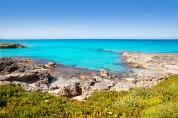 La costa rocciosa alla Playa Es Calò, nel nord di Formentera, Baleari, Spagna. Con i suoi scogli è la location ideale per chi ama lo snorkeling, ma anche per chi preferisce la ...