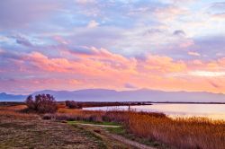 Etang de Canet,Saint Nazaire vicino a Perpignan nella Francia meridionale - © Yuryev Pavel / Shutterstock.com