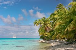 Spiaggia di Fakarava, Polinesia Francese -  © Piotr Gatlik / Shutterstock.com