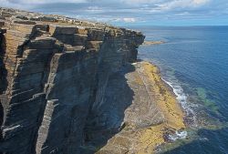 Una falesia a picco sul mare, uno dei paesaggi più spettacolari delle Isole Orcadi in Scozia - © Tomas Skopal / Shutterstock.com