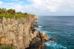 Falesia sul Pacifico, ci troviamo sull'isola di Tongatapu - © Naska Raspopina / Shutterstock.com