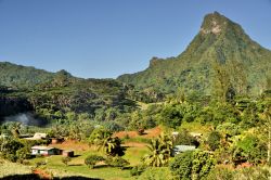 Fattoria all'interno dell' Isola Moorea in Polinesia, una delle più verdi nel gruppo delle Isole della Società