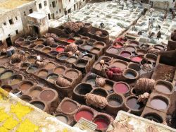 Fest Tannery: ovvero la conceria di Fes in Marocco. ...