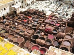 Fest Tannery: ovvero la conceria di Fes in Marocco. Chi la visita si deve tenere un ramoscello di menta sotto alle narici, per limitare i danni del fetore pungente ed insopportabile che si emana ...