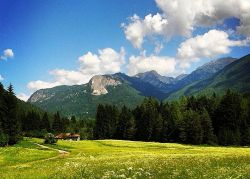 Fioriture in valle a Forni di Sopra dove si celebra la Festa delle Erbe di primavera