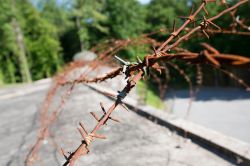 Un filo spinato arrugginito, lungo la storica Linea Maginot presso la località di Ouvrage Schoenenbourg in in Alsazia, nell'est della Francia - © HUANG Zheng / Shutterstock.com ...