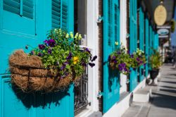 Fiori per i festeggiamenti del Mardi Gras, New Orleans - Dalle caratteristiche persiane in legno delle case della città sporgono profumati vasi di fiori con cui i residenti abbelliscono ...