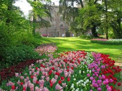 La coloratissima fioritura dell'evento Messer Tulipano al Castello di Pralormo in Piemonte.