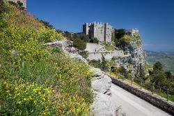 Castello di Venere, nei pressi di Erice: la fioritura ...