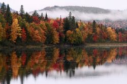 Foliage d'autunno nel New Hampshire lungo le rive dell'Androscoggin River - © cappi thompson / shutterstock.com