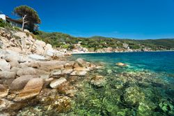 Isola d'Elba (LI): Baia della Biodola, nei ...