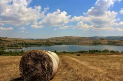 Foto del Lago Pantano a Pignola, Riserva Regionale Oasi WWF Di Roronoa89 - Opera propria, CC BY-SA 4.0, Collegamento