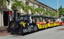 Key West Conch Tour Train, Florida - In funzione dal 1958, il Conch Tour Train di Key West è una delle più importanti attrazioni turistiche di tutta la Florida. Lo staff di questa ...