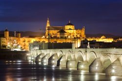 Foto notturna di Cordova, con il ponte romano, il fiume Guadalquivir, e la grande cattedrale sullo sfondo - © Andre Goncalves / Shutterstock.com