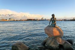 La famosa statua della sirenetta a Copenaghen sul molo Langeline  - © Ppictures / Shutterstock.com