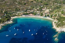 Veduta aerea della spiaggia di Cavoli, lungo la costa sud-occidentale dell'Isola d'Elba, situata tra Marina di Campo e la frazione di Seccheto. Lunga circa 300 m, di sabbia bianca e ...