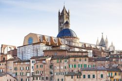 Palazzi nel centro di Siena, Toscana: le case di origine medievale si stringono intorno al Duomo di Santa Maria Assunta, che svetta su di loro con la sua cupola, il campanile romanico alto 77 ...
