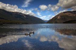 Fotografia del lago Rotoiti all'interno del Nelson Lakes National Park (Regione di Tasman) in  Nuova Zelanda - © Katarina Hoglova / Shutterstock.com