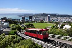 Dalla funicolare di Wellington, capitale della Nuova Zelanda, si gode un bel panorama sulla città e sull'omonima baia - © amorfati.art / Shutterstock.com