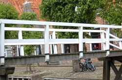 Gatto sul ponte di Sloten in Olanda