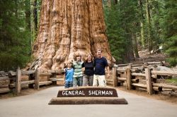General Sherman è la più grande sequoia della California, e il più massiccio albero del mondo: si può considerare come l'essere vivente più grande del ...