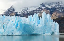 Foto del Ghiacciaio del lago Grey, presso il parco nazionale di Torres del Paine in Cile - © Ekaterina Pokrovsky / Shutterstock.com