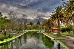 I giardini pubblici di Quito, capitale dell'Ecuador, non sono semplici polmoni verdi nel bel mezzo della città, ma affascinanti parentesi di vegetazione equatoriale che diventano ...